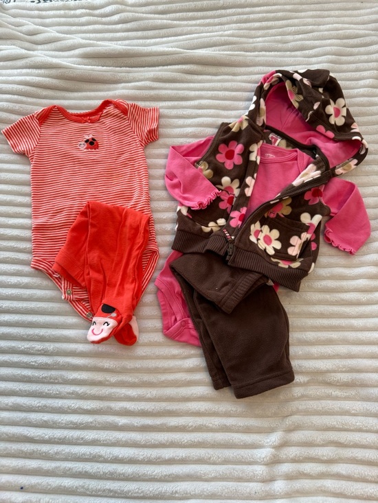 Carter's Other - Carter's 2 Outfit Bundle - Lady Bug And Flower Sets - 6 Month